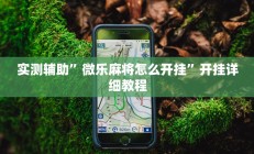 教程辅助“新金龙透视挂”开挂详细教程