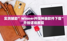 实测辅助”Winner开挂神器软件下载”开挂详细教程