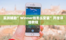 实测辅助”Winner挂怎么安装”开挂详细教程