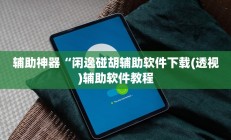 辅助神器“闲逸碰胡辅助软件下载(透视)辅助软件教程