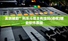 实测辅助“加拿大28作弊辅助挂(透视)辅助软件教程