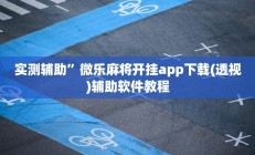 实测辅助”微乐麻将开挂app下载(透视)辅助软件教程