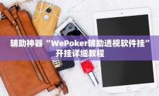 辅助神器“WePoker辅助透视软件挂”开挂详细教程