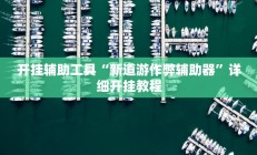 开挂辅助工具“新道游作弊辅助器”详细开挂教程
