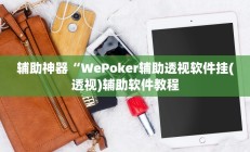 辅助神器“WePoker辅助透视软件挂(透视)辅助软件教程