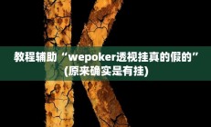 教程辅助“wepoker透视挂真的假的”(原来确实是有挂)