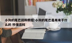 小狗的尾巴团购教程:小狗的尾巴是用来干什么的 秒懂百科