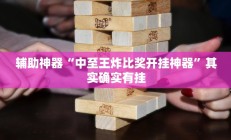 辅助神器“中至王炸比奖开挂神器”其实确实有挂