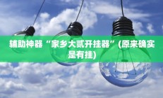辅助神器“家乡大贰开挂器”(原来确实是有挂)