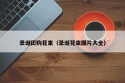 圣诞团购花束（圣诞花束图片大全）