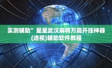 教程辅助“享 博棋牌开挂神器(透视)辅助软件教程