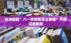 实测辅助”八一字牌挂怎么安装”开挂详细教程