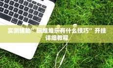 实测辅助”玩堆堆乐有什么技巧”开挂详细教程
