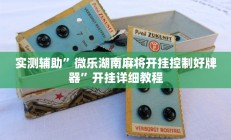 实测辅助”鸿运十三张用挂开挂软件”开挂详细教程
