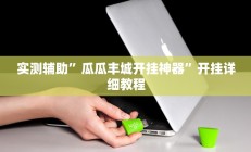 实测辅助”瓜瓜丰城开挂神器”开挂详细教程