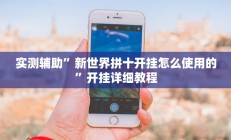 实测辅助”新世界拼十开挂怎么使用的”开挂详细教程