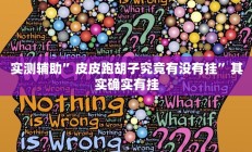 实测辅助”皮皮跑胡子究竟有没有挂”其实确实有挂