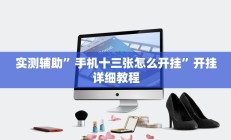 实测辅助”手机十三张怎么开挂”开挂详细教程