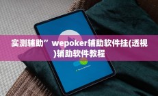 实测辅助”wepoker辅助软件挂(透视)辅助软件教程