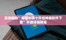 实测辅助”Winner辅助开挂”开挂详细教程