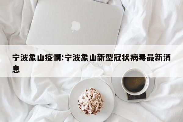 教程辅助“至友互娱辅助器(透视)辅助软件教程