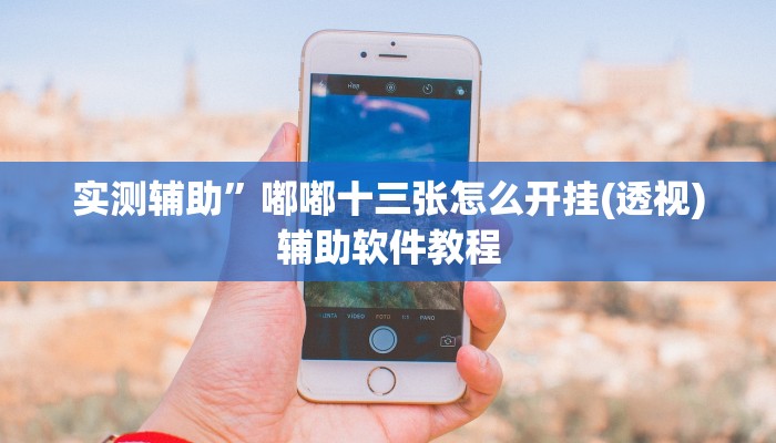 实测辅助”嘟嘟十三张怎么开挂(透视)辅助软件教程