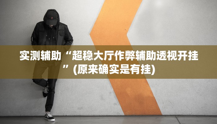 实测辅助”墨韵麻趣怎么开挂”开挂详细教程