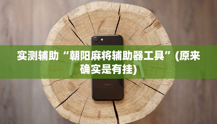 实测辅助“朝阳麻将辅助器工具”(原来确实是有挂)
