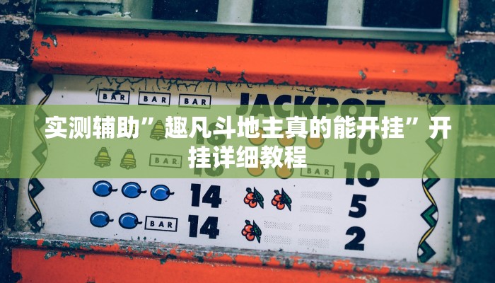 实测辅助”趣凡斗地主真的能开挂”开挂详细教程