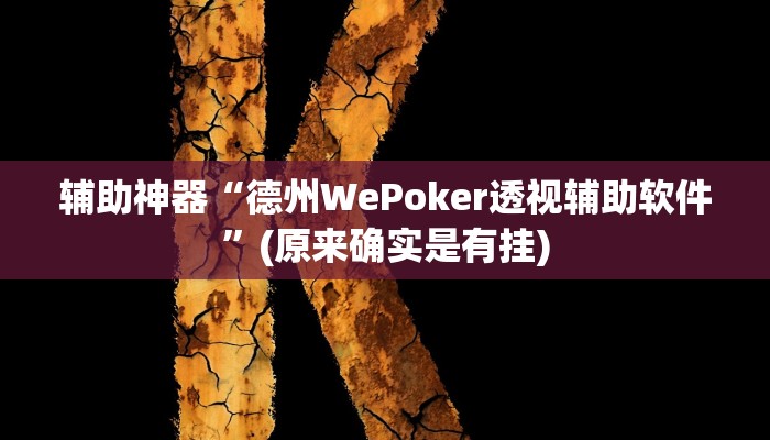 实测辅助”今日长牌开挂神器”详细开挂教程