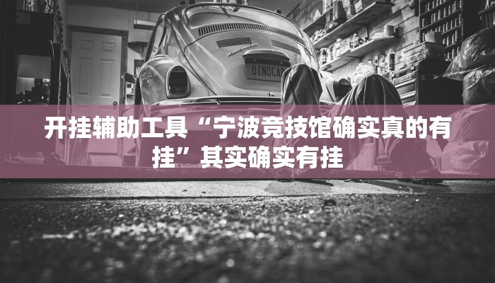 实测辅助”方片十三张挂怎么安装”开挂详细教程