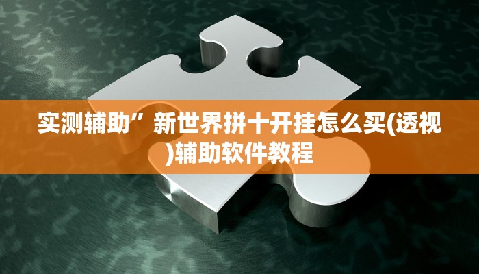 实测辅助”家乡大二透视”开挂详细教程