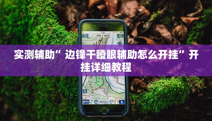 实测辅助”边锋干瞪眼辅助怎么开挂”开挂详细教程