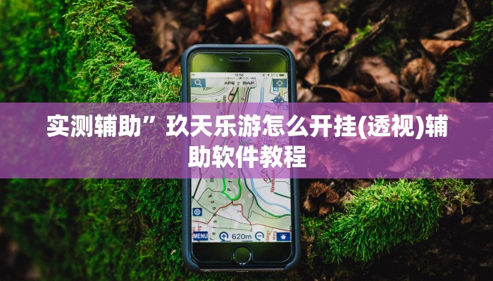 实测辅助”玖天乐游怎么开挂(透视)辅助软件教程