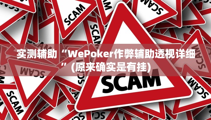 教程辅助“德扑之星作弊透视使用Ios”开挂详细教程