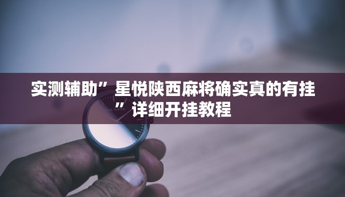 辅助神器“边锋干瞪眼有没有可能作弊”其实确实有挂