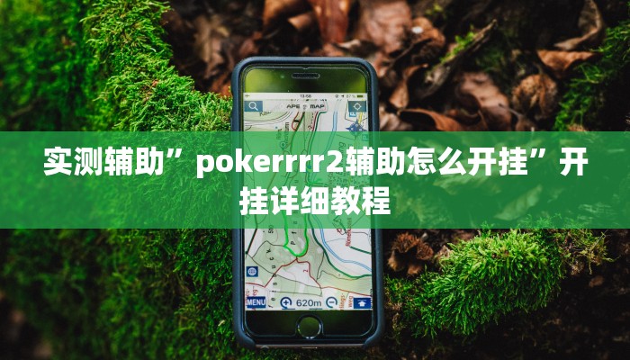 实测辅助”pokerrrr2辅助怎么开挂”开挂详细教程