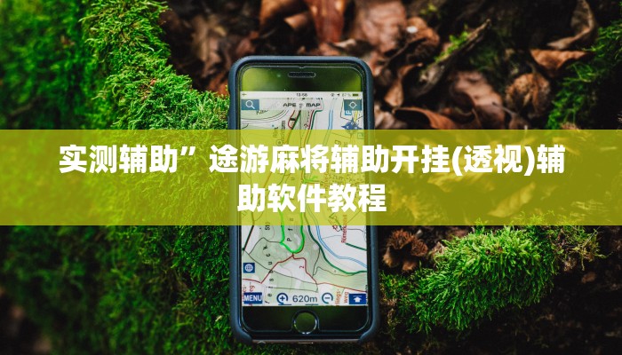 实测辅助”途游麻将辅助开挂(透视)辅助软件教程