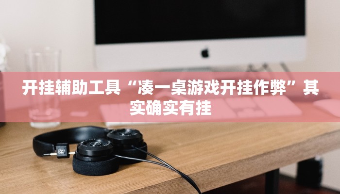 开挂辅助工具“凑一桌游戏开挂作弊”其实确实有挂