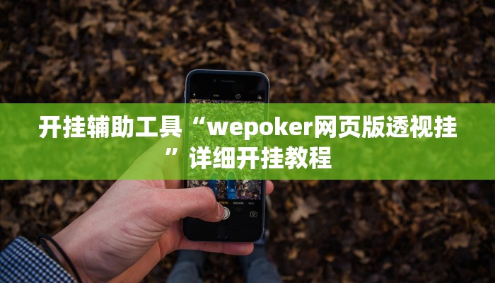 开挂辅助工具“wepoker网页版透视挂”详细开挂教程