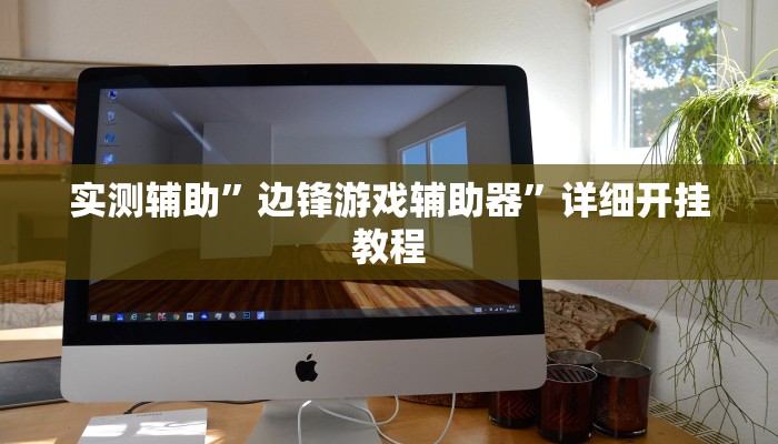 实测辅助”边锋游戏辅助器”详细开挂教程