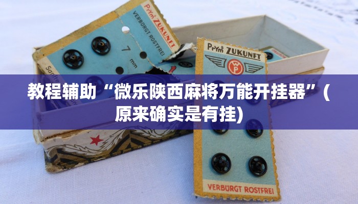 教程辅助“微乐陕西麻将万能开挂器”(原来确实是有挂)