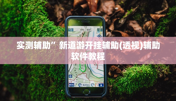 实测辅助”新道游开挂辅助(透视)辅助软件教程