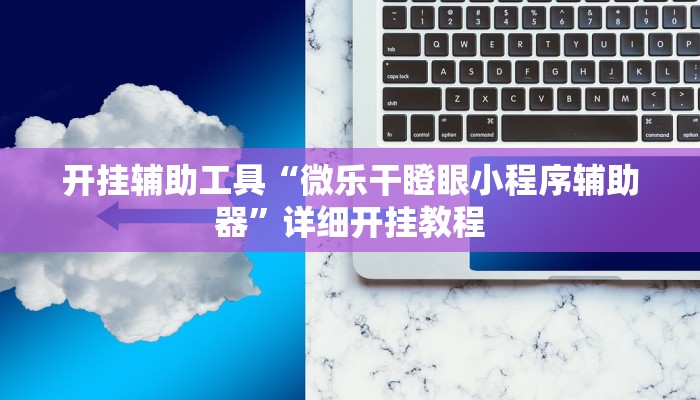 开挂辅助工具“微乐干瞪眼小程序辅助器”详细开挂教程