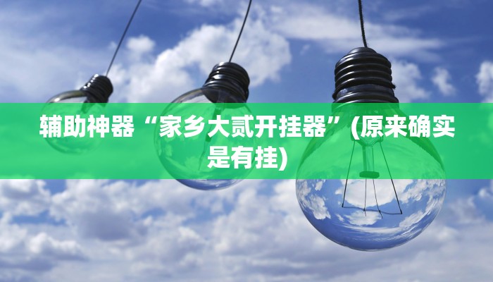 辅助神器“家乡大贰开挂器”(原来确实是有挂)