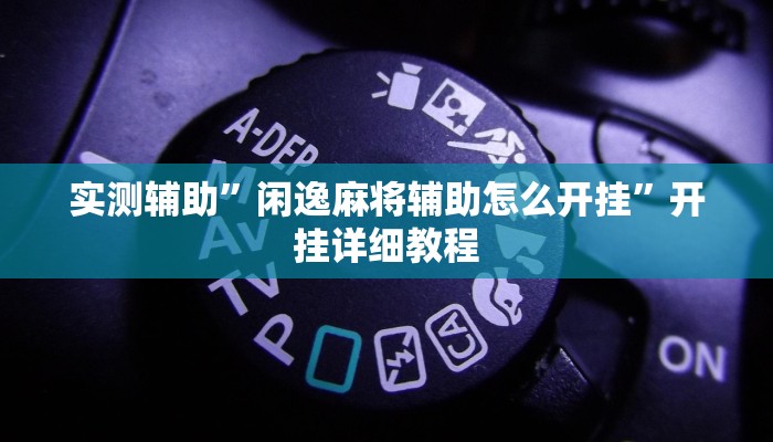 实测辅助”闲逸麻将辅助怎么开挂”开挂详细教程