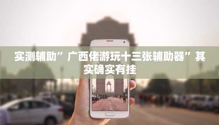 实测辅助”白金岛有没有挂”开挂详细教程