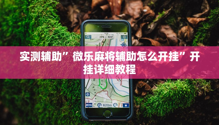 辅助神器“德扑之星开挂是真的吗”开挂详细教程