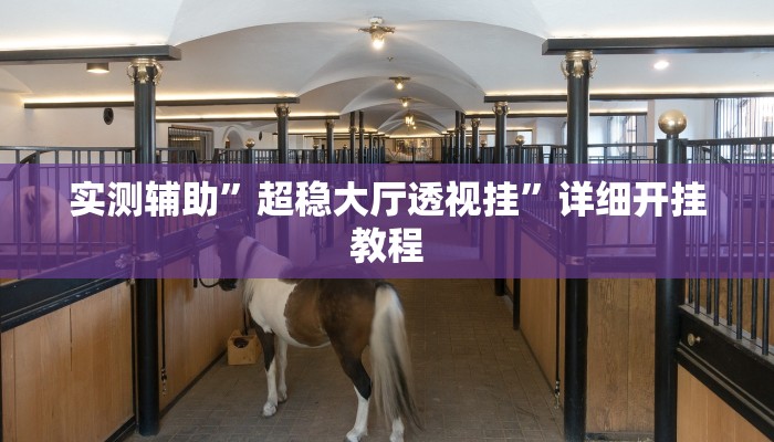 实测辅助”超稳大厅透视挂”详细开挂教程