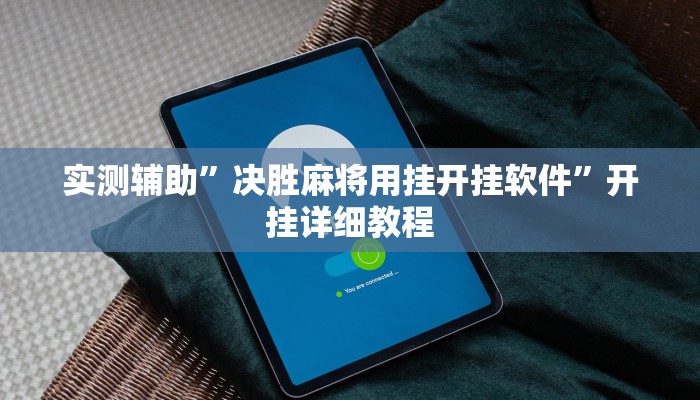 辅助神器“友友联盟怎么开挂”详细开挂教程